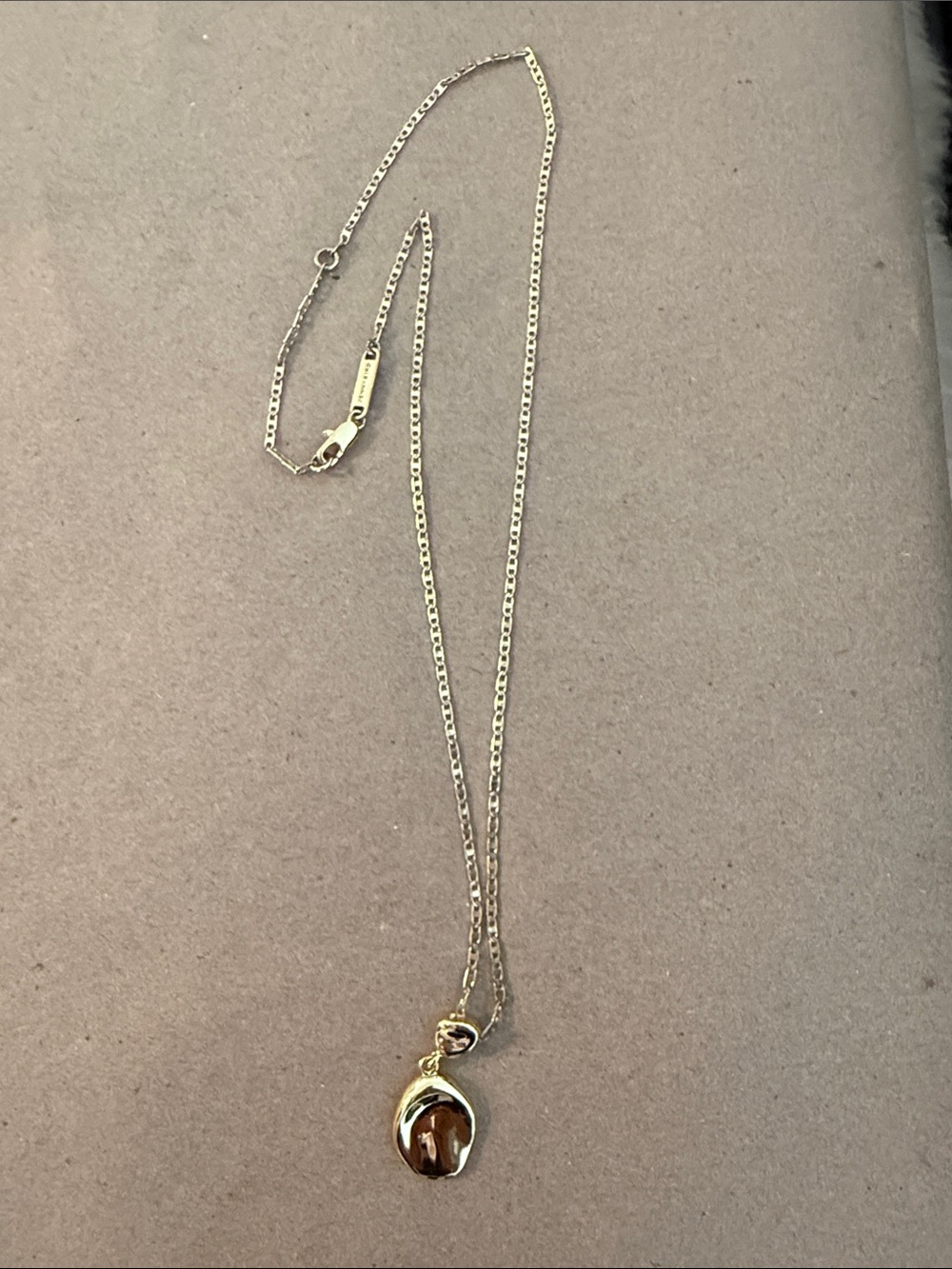 Jenny Bird Gold Link Necklace with Branded Tag